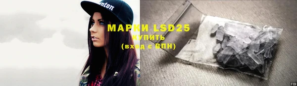 сатива Осинники